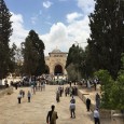 Day 13 of the Delegation: Our Final Day in Palestine Help support USPCN’s delegation to Palestine! Donate here! For our final day in Palestine, we first visited Grassroots Jerusalem, where […]